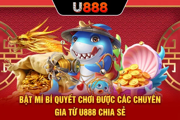 Bật mí bí quyết chơi được các chuyên gia từ U888 chia sẻ
