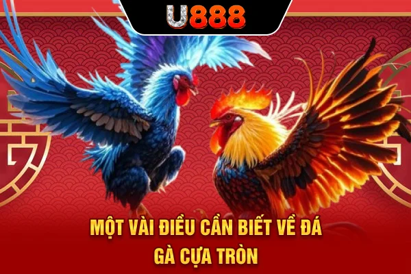 Một vài điều cần biết về đá gà cựa tròn