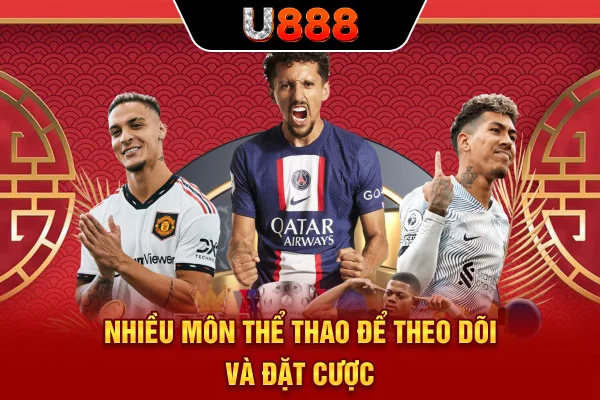 Nhiều môn thể thao để theo dõi và đặt cược